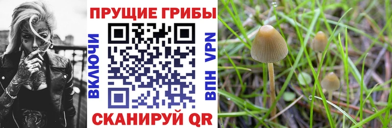 Галлюциногенные грибы Magic Shrooms  Купить закладки  Коломна 